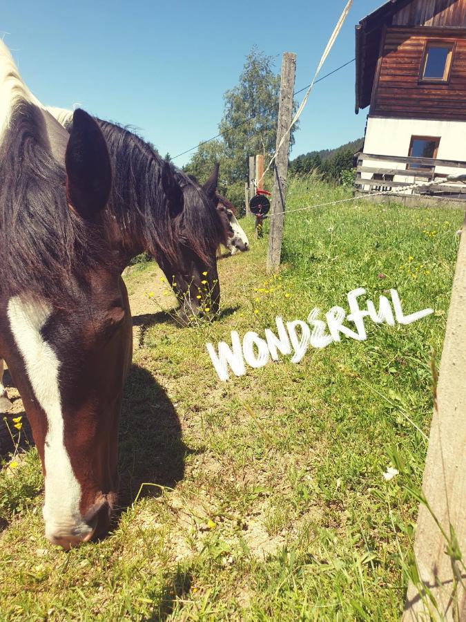 Karlbauer Huette Villa Lendorf Eksteriør billede
