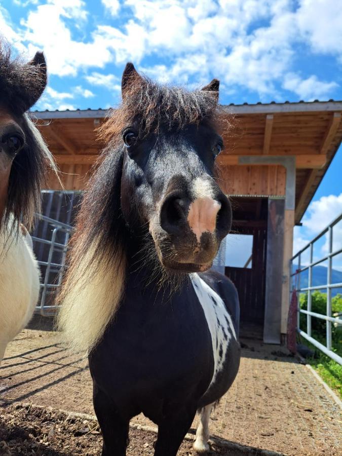 Karlbauer Huette Villa Lendorf Eksteriør billede